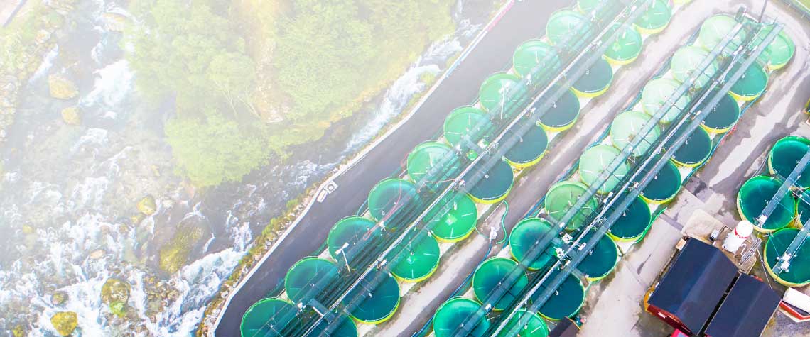 LAND BASED AQUACULTURE