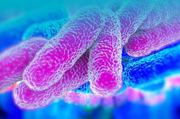 LEGIONELLA CONTROL SERVICES